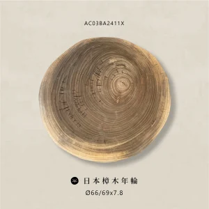 AC03BA2411X日本樟木年輪
